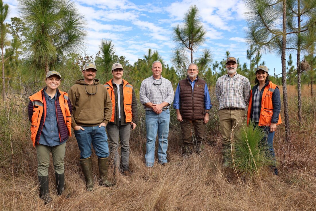 A group of people stand in a pine forest
