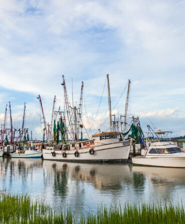 Shrimp boats on the water