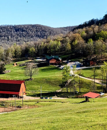 A view of the countryside at a ranch in Arkansas