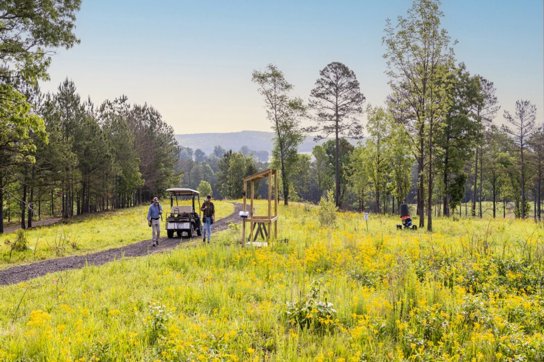 Two men approach a shooting station in a field spotted with trees