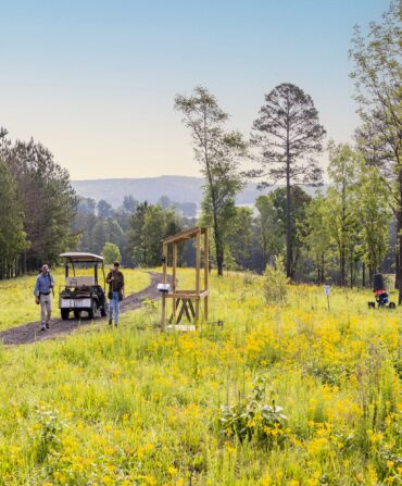Two men approach a shooting station in a field spotted with trees