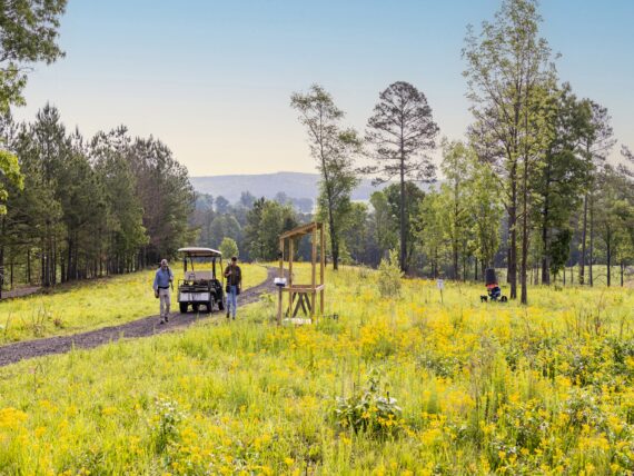 Two men approach a shooting station in a field spotted with trees