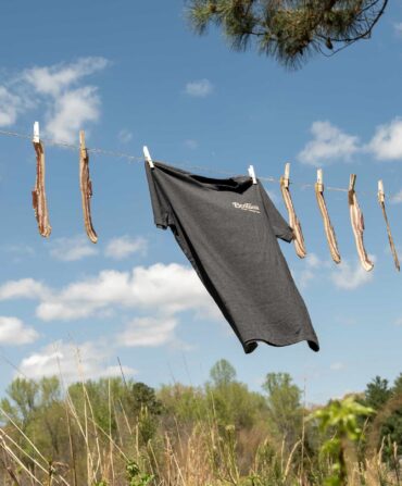 Bacon and a tee hang from a clothes line