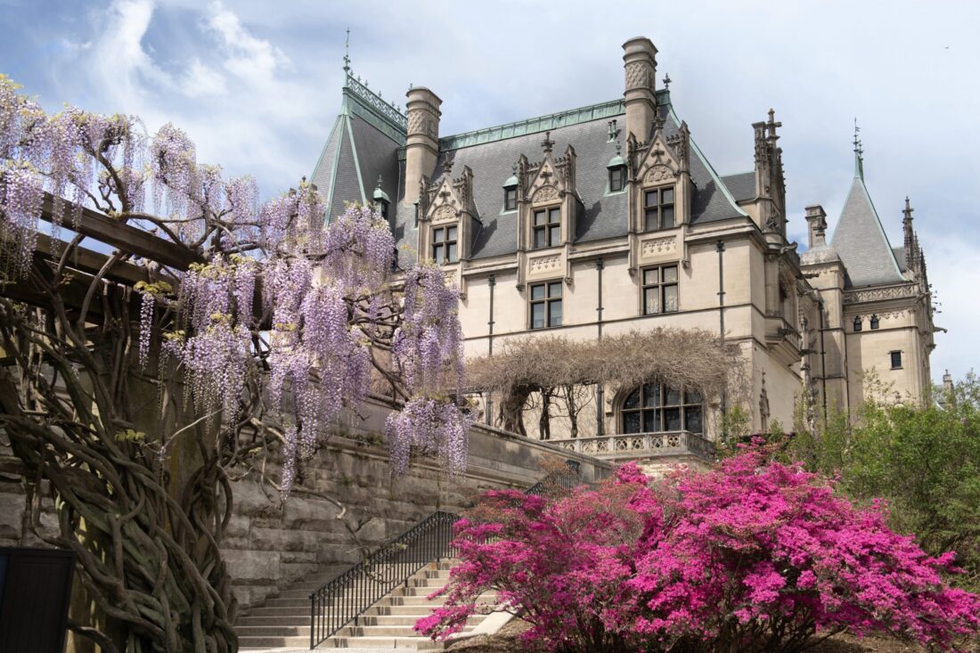 Flowers bloom outside the Biltmore House