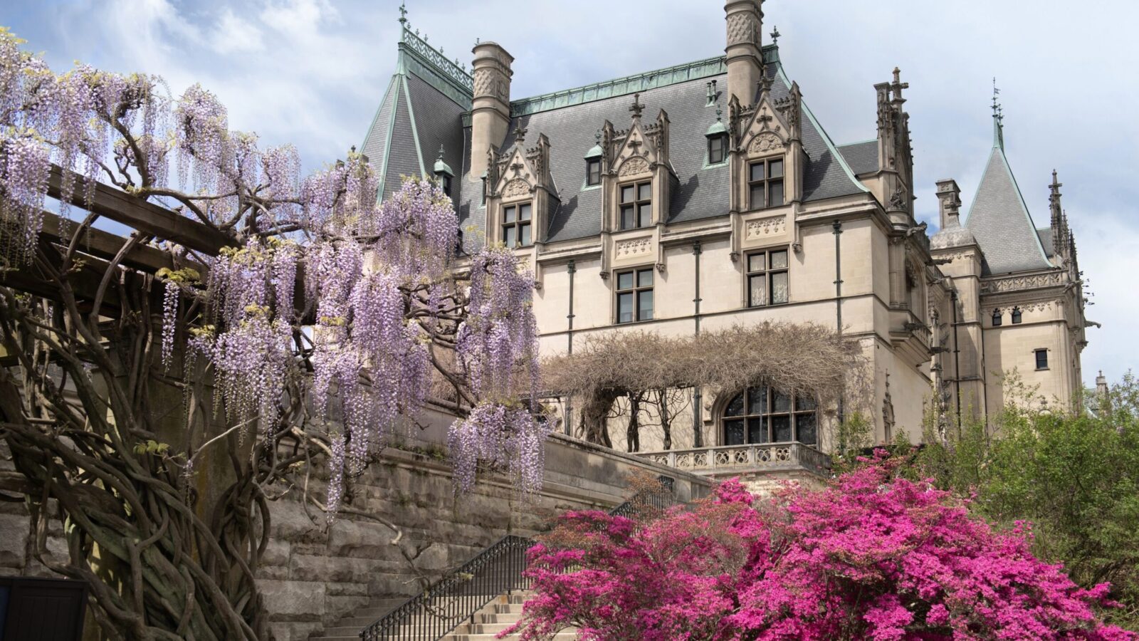 Flowers bloom outside the Biltmore House