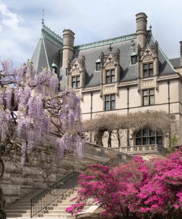 Flowers bloom outside the Biltmore House