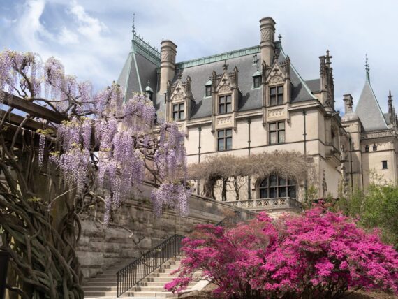 Flowers bloom outside the Biltmore House