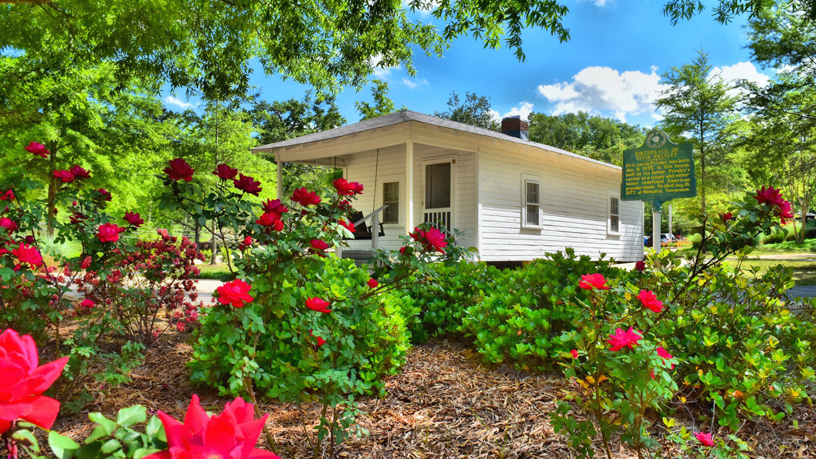 A white cottage surrounded by pink rose plants