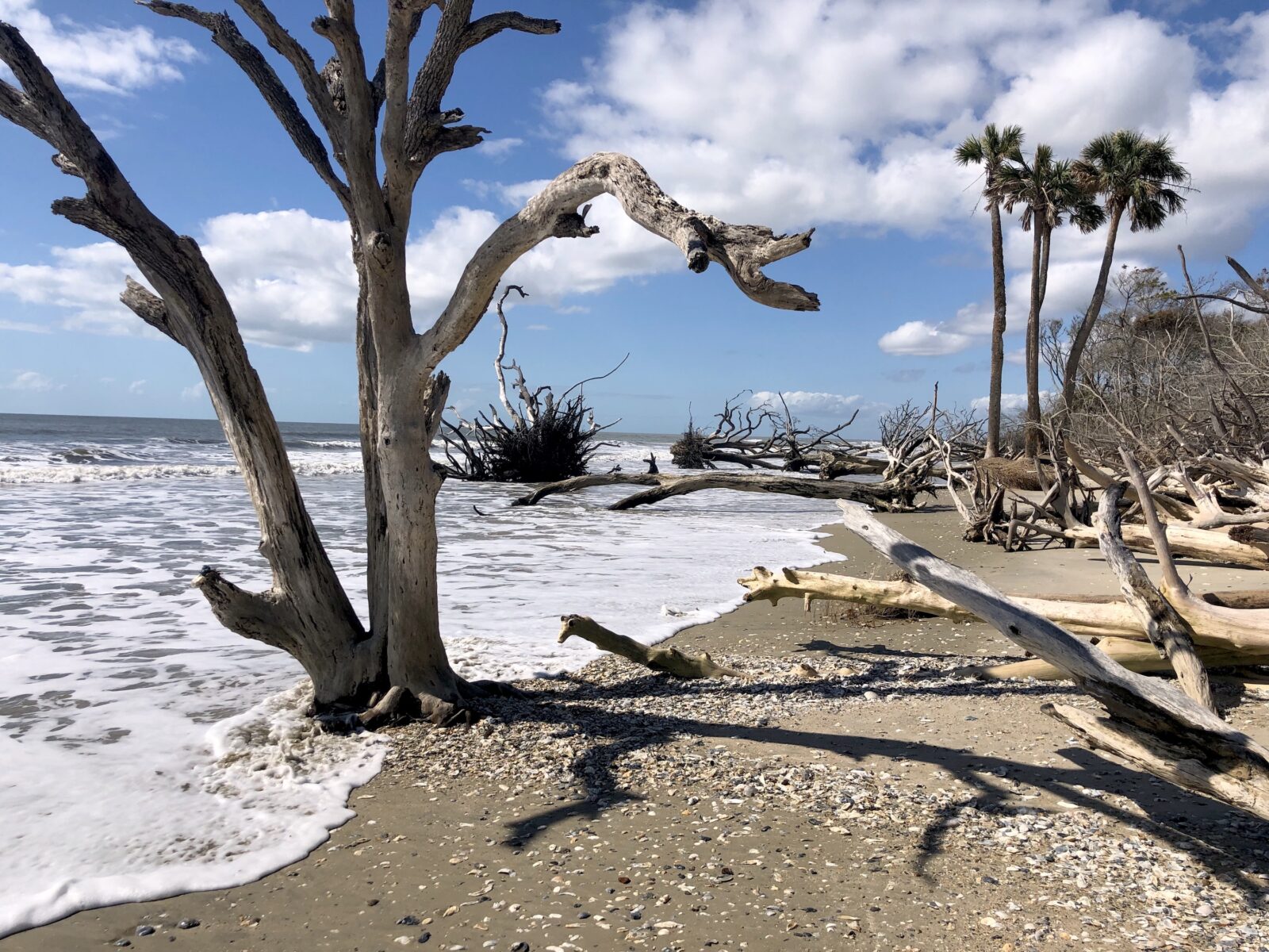 A boneyard beach