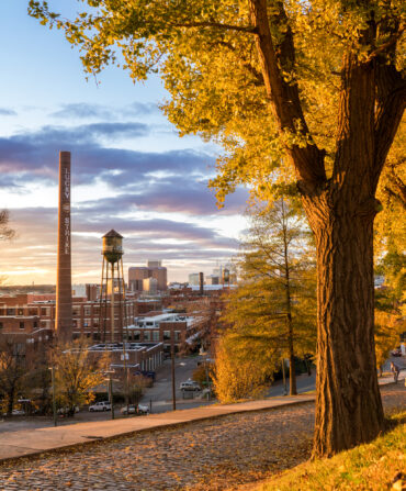 A cobble street with fall trees overlooks a city skyline