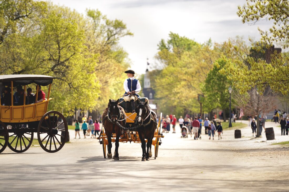 A horse-drawn carriage rides down a sunny street