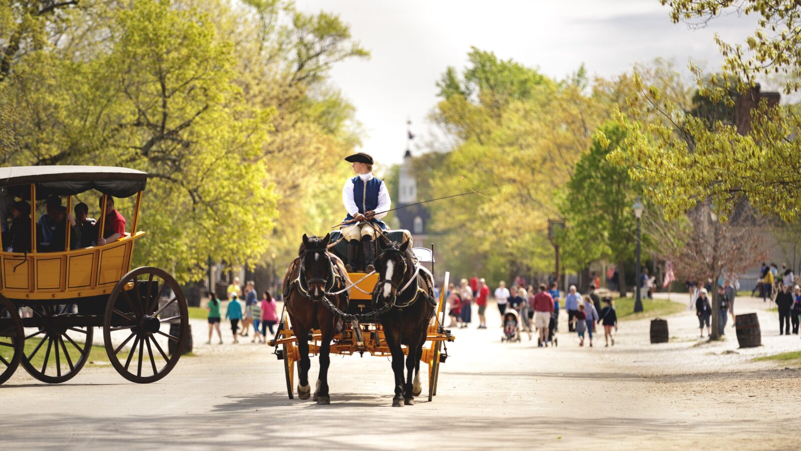 A horse-drawn carriage rides down a sunny street
