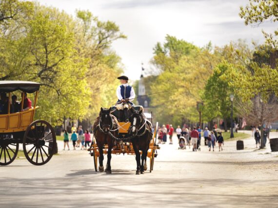 A horse-drawn carriage rides down a sunny street
