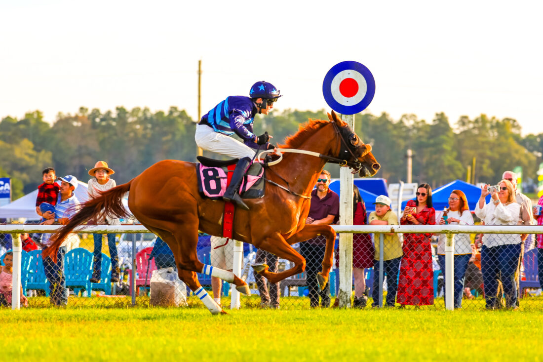 A horse and rider race on a grass track