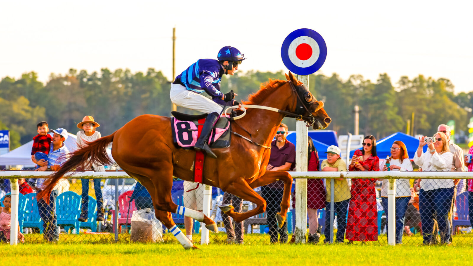 A horse and rider race on a grass track