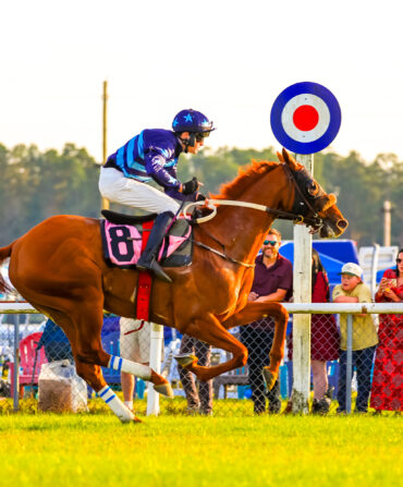 A horse and rider race on a grass track