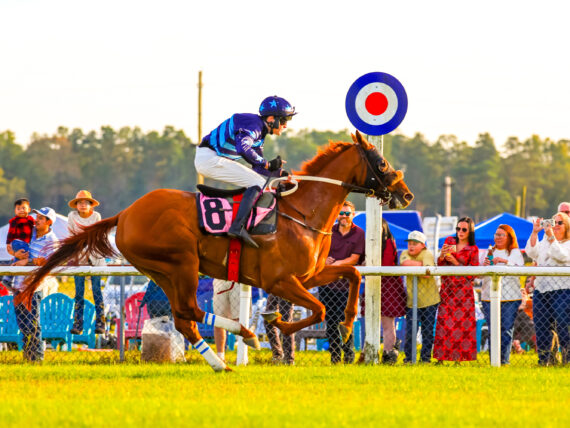 A horse and rider race on a grass track