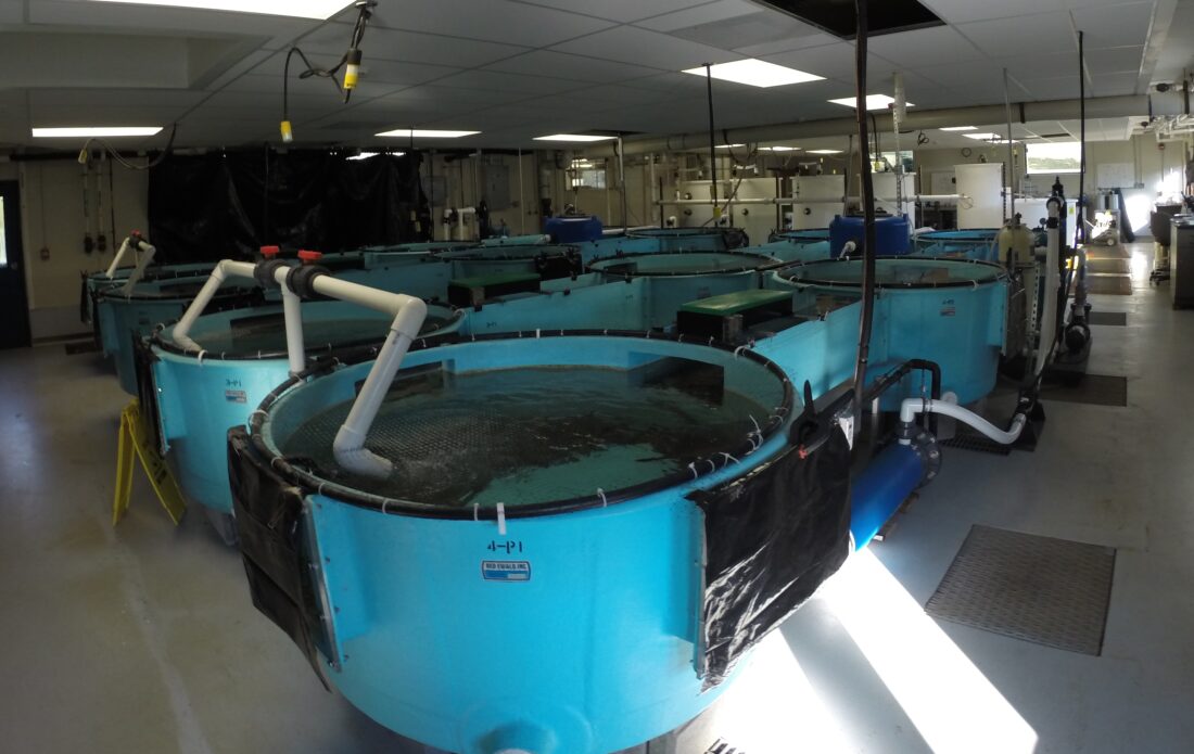 Tanks of water in a large room