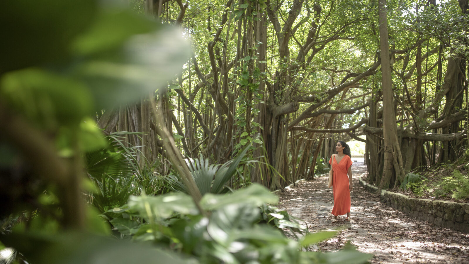 A woman walks in a shaded park