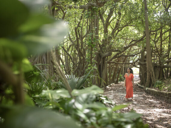 A woman walks in a shaded park