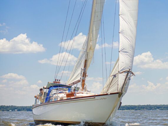 A sailboat on the water