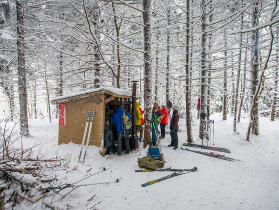 People in a snowy woodland gather under a warming shelter with their skis