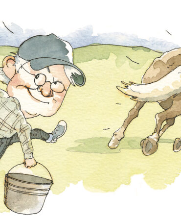 A watercolor illustration of a man with a shovel and bucket chasing a brown horse in a field