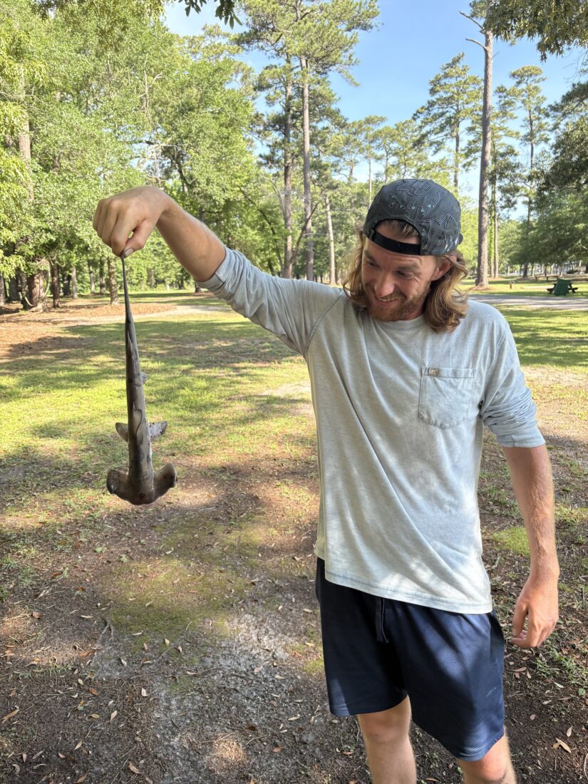 A man holds a hammerhead shark