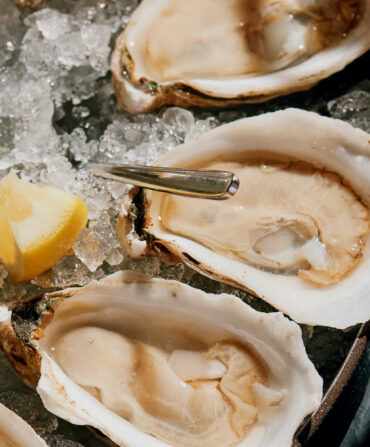 A plate of oysters on the half shell on ice