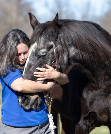 A woman hugs the head of a dark horse with a white face