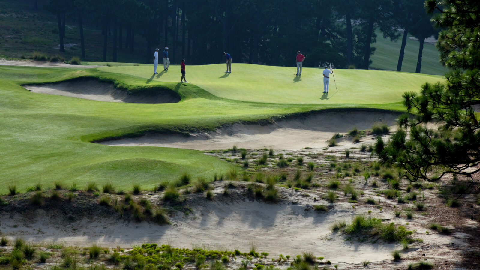 People golf on a golf course