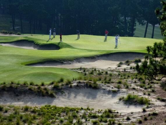 People golf on a golf course