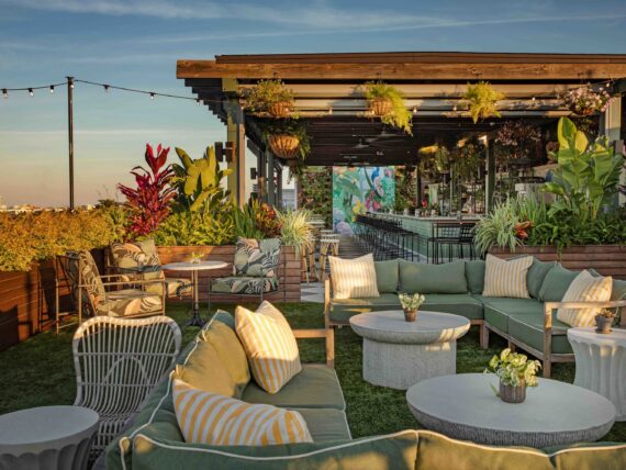 A rooftop bar filled with seating and plants