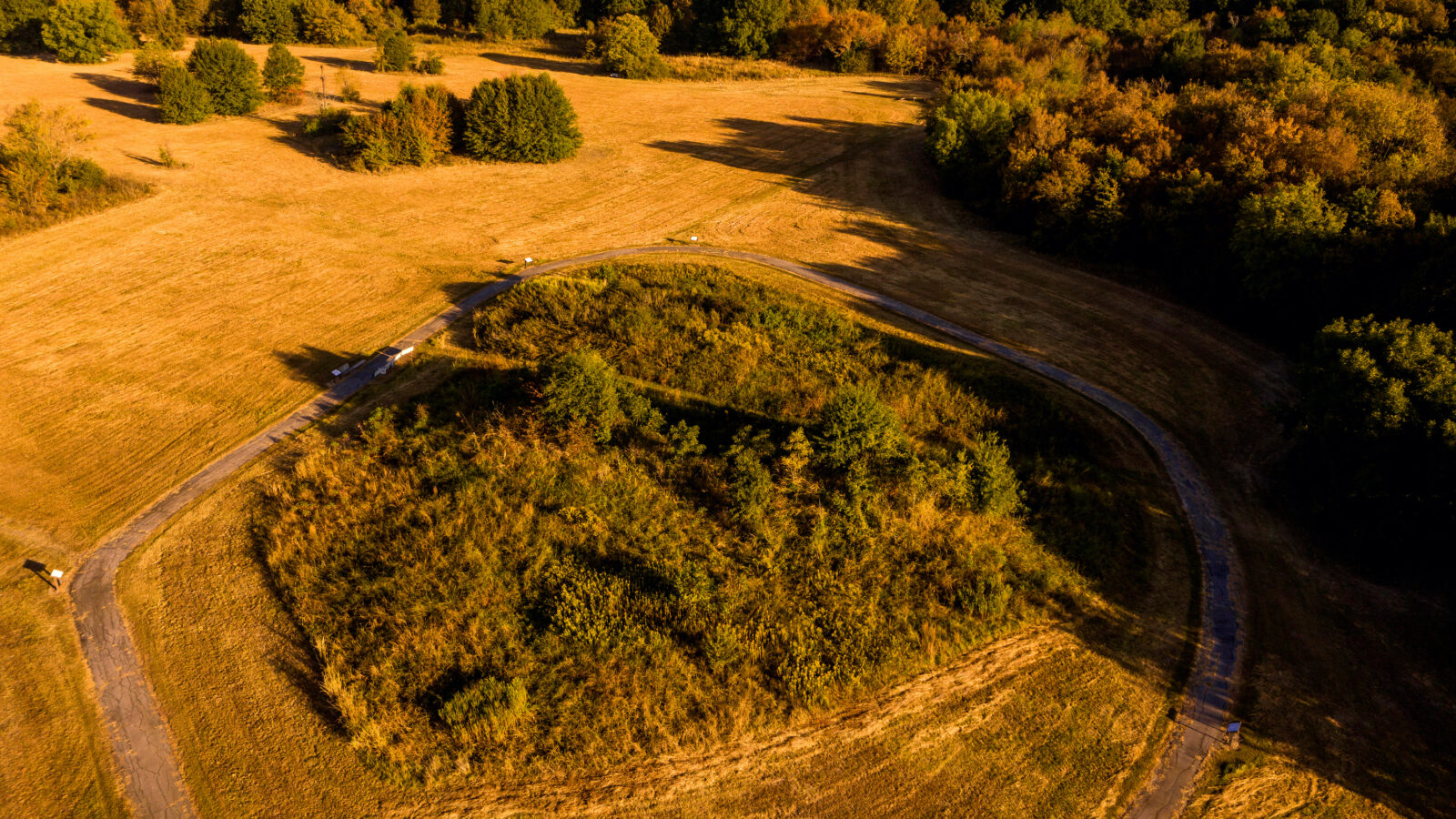 Spiro mounds from above