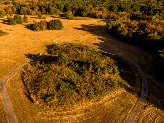 Spiro mounds from above