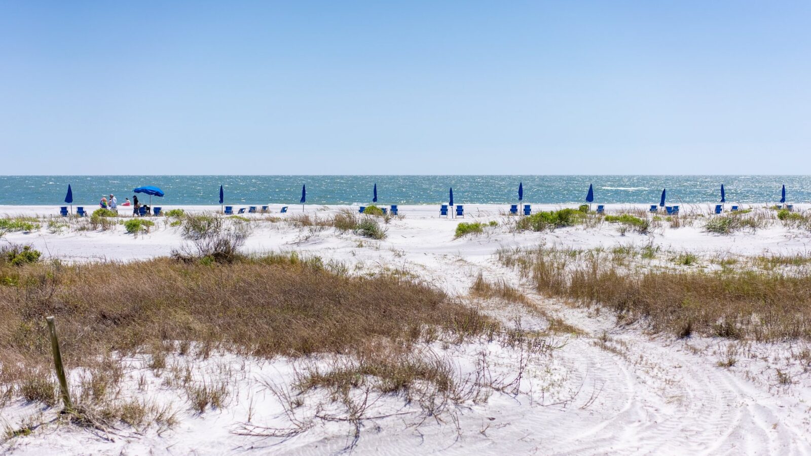 Blue umbrellas and chairs dot a white beach