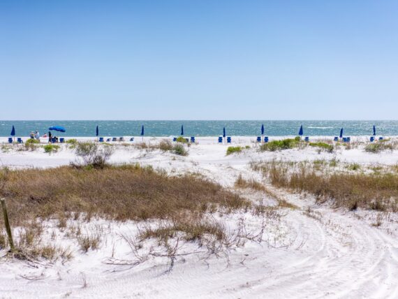 Blue umbrellas and chairs dot a white beach