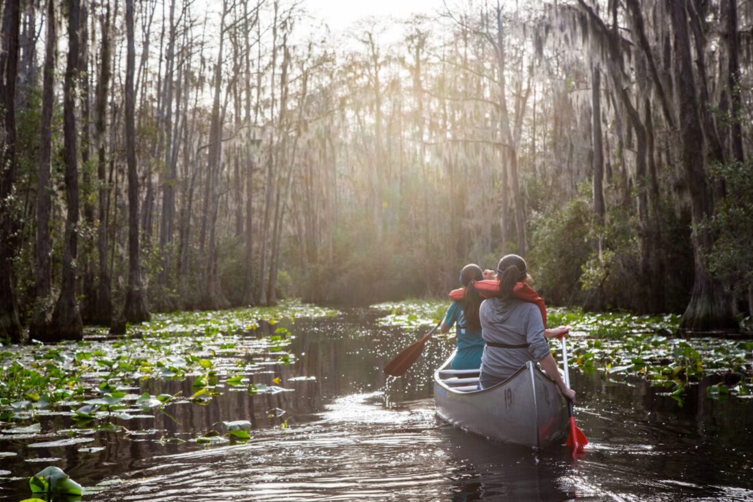 Two women canoeing through the Okefenokee Swamp