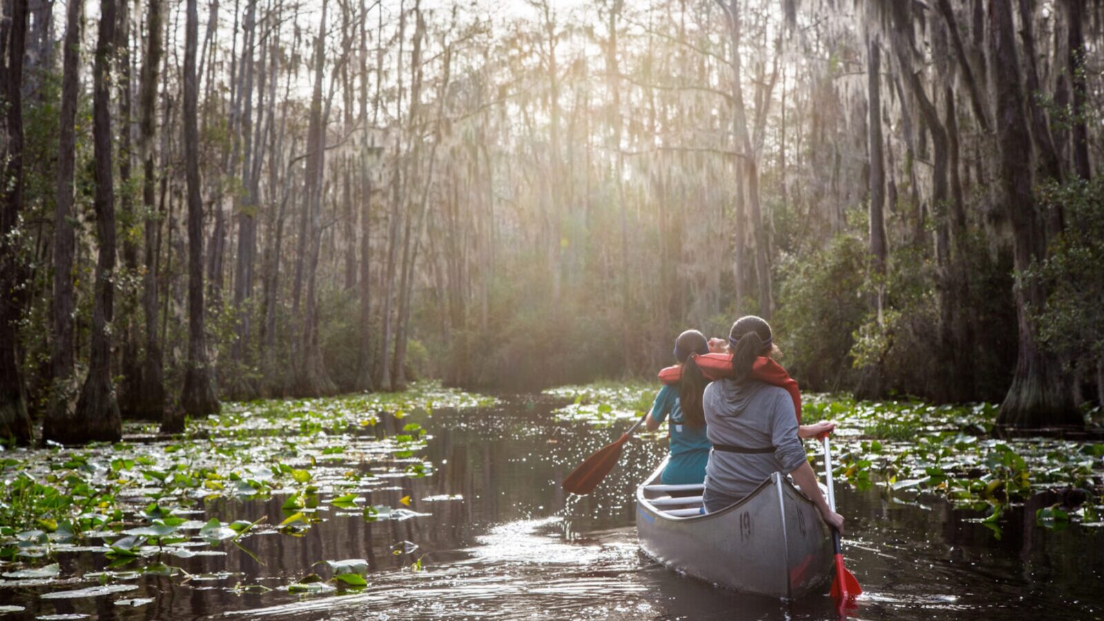 Two women canoeing through the Okefenokee Swamp