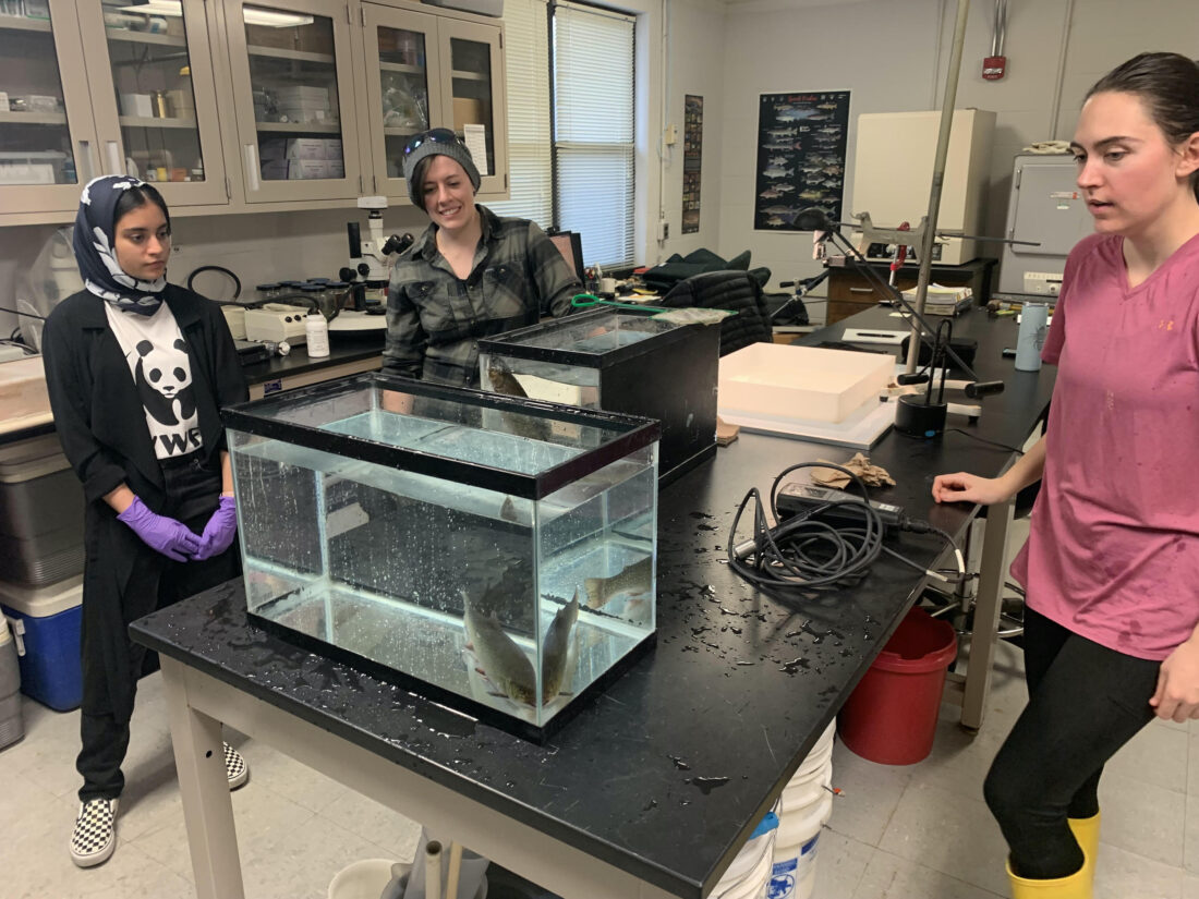 Women in a lab with tanks of fish