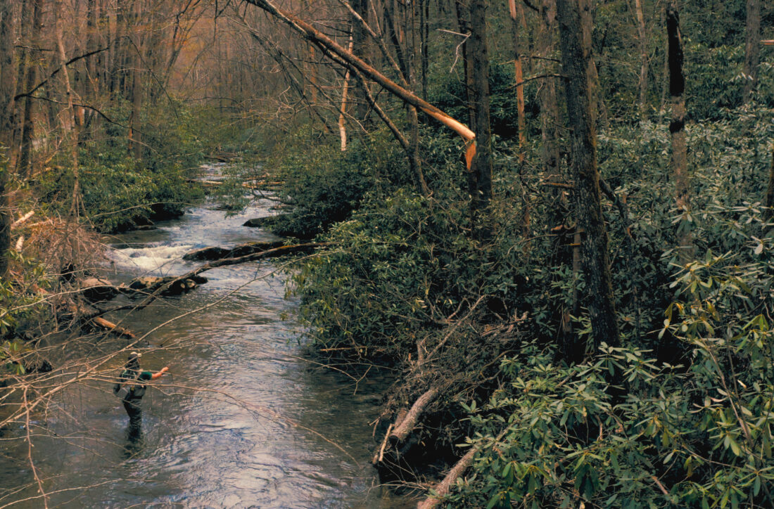 A man angles for trout in a stream in a forest