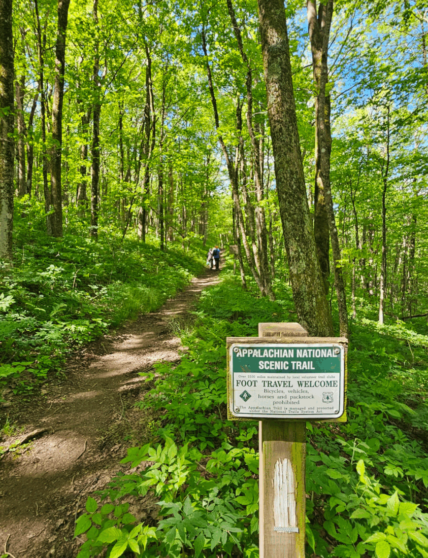 A wooded trail with a sign that reads, "Appalachian National Scenic Trail"