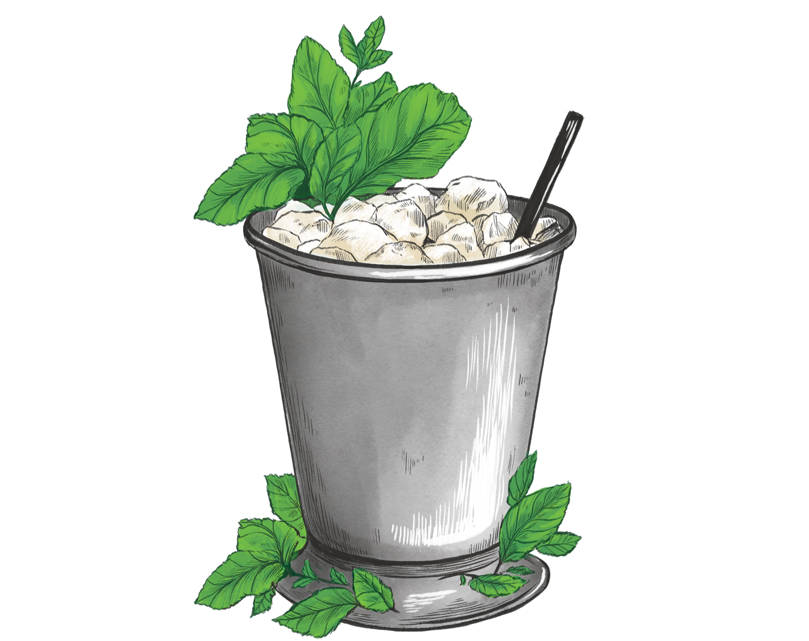 Mint Julep
