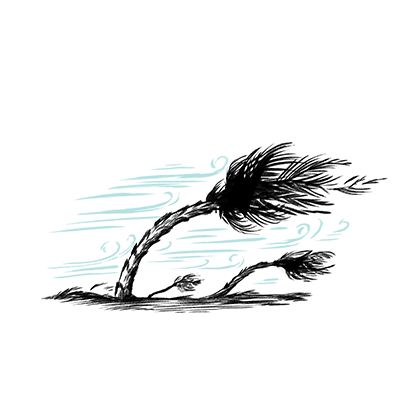 You’re riding out a hurricane